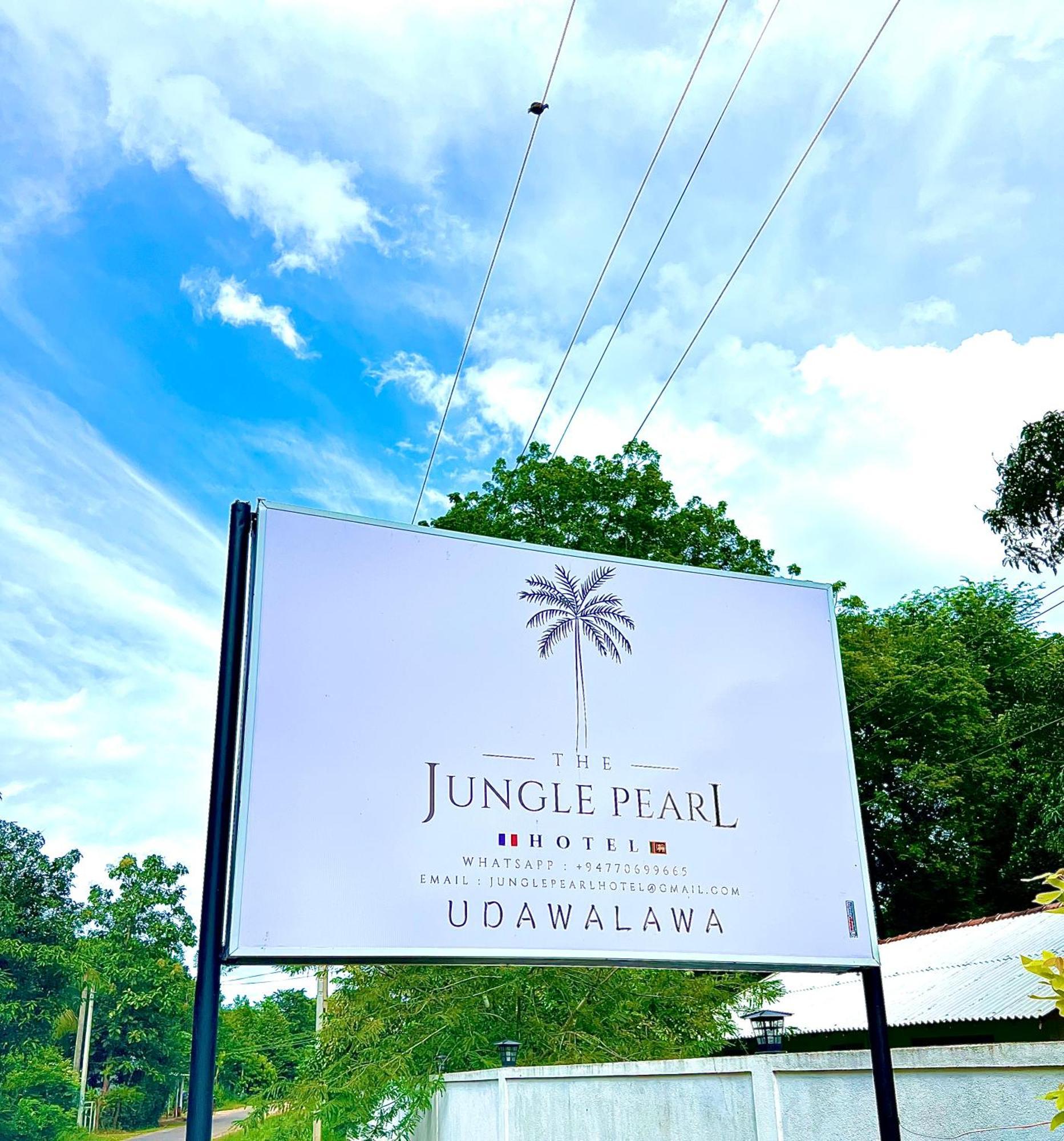 The Jungle Pearl Hotel 达瓦拉维 外观 照片